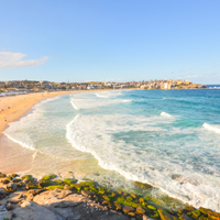 Bondi1