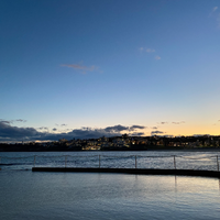 Bondi8