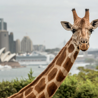 Zoo5